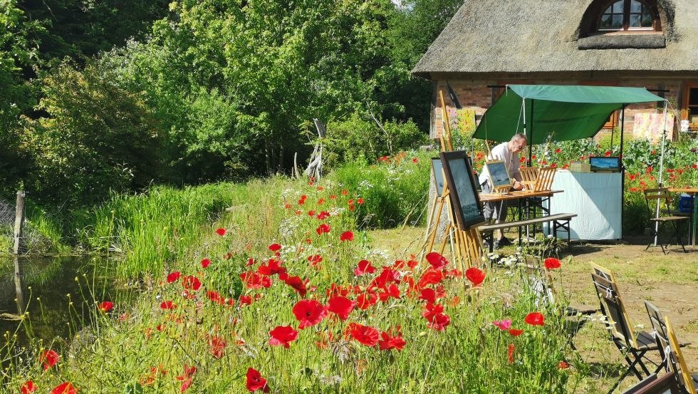 in de tuin, &copy; Kristin Brandt