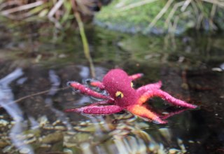 Octopus in felt, &copy; Feltbloom