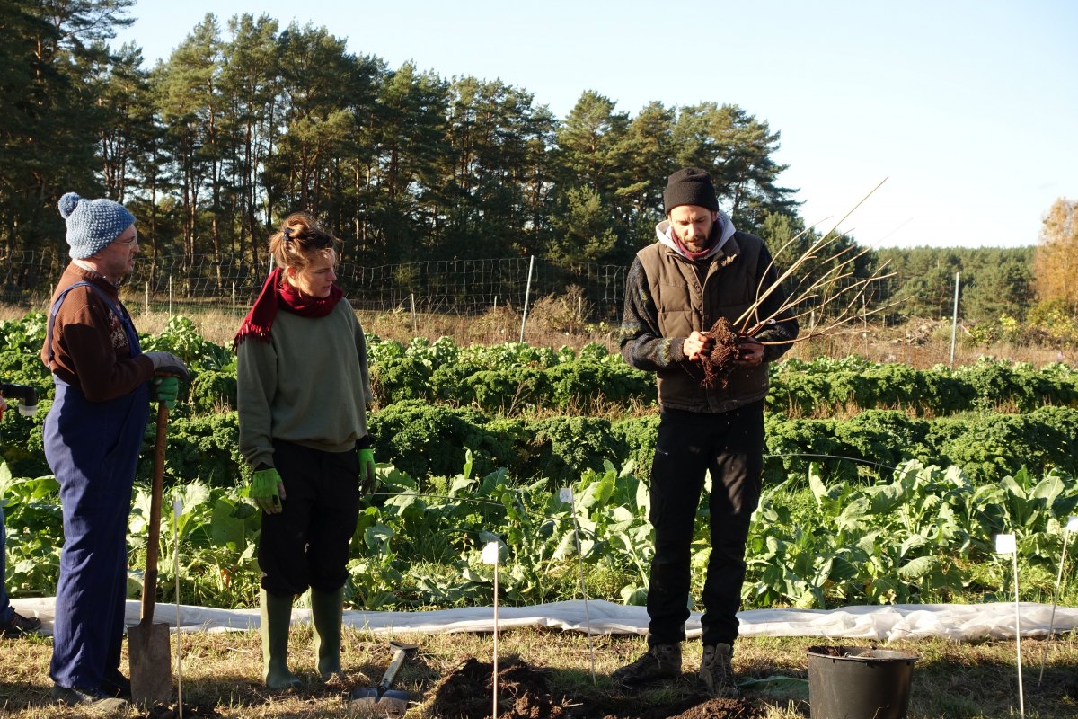 © Marcus Bartsch © Marcus Bartsch