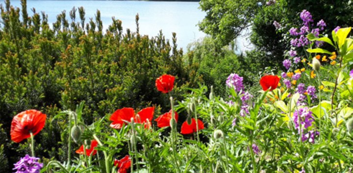 a garden by the lake // © adfc-Schwerin a garden by the lake // © adfc-Schwerin