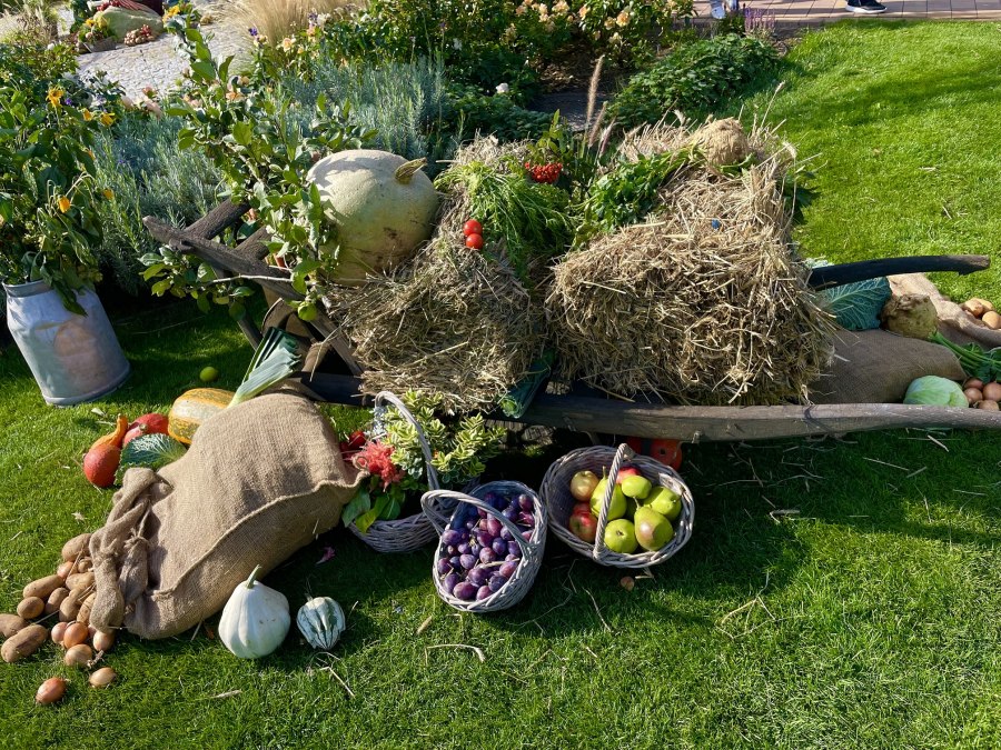 &copy; Kartoffelfest.jpeg