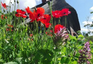 &copy; Kristin Brandt