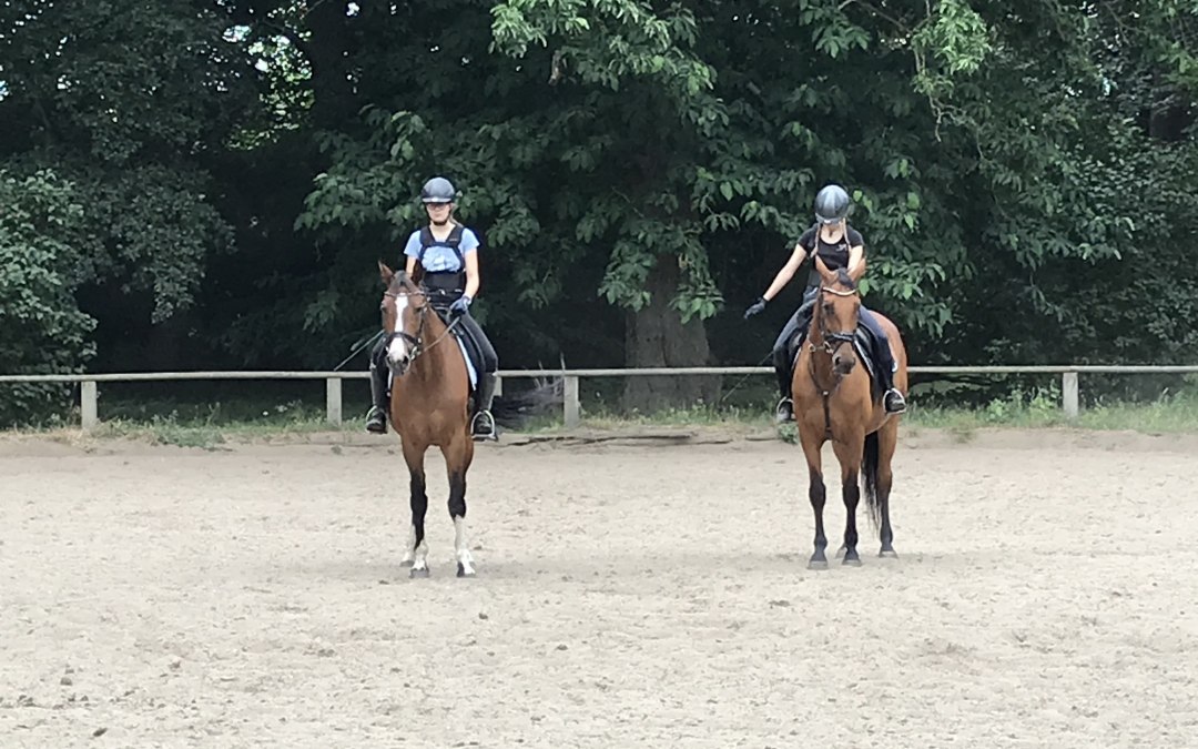 Dressage training on the field in Daugzin, © Karoline Görs
