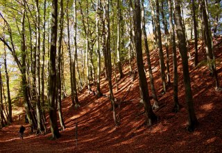 &copy; Katrin Staude