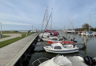 &copy; S&uuml;dliche Boddenk&uuml;ste