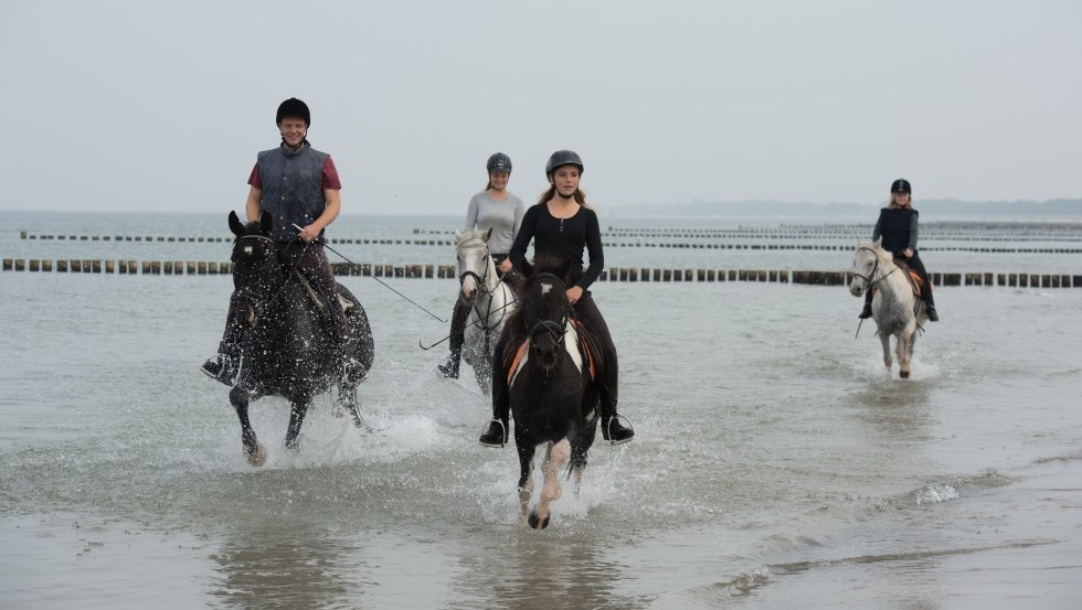 Experience refreshment on horseback in the cool of the Baltic Sea with Reiterhof Gränert. // © MV-T/ Frank Hafemann Experience refreshment on horseback in the cool of the Baltic Sea with Reiterhof Gränert. // © MV-T/ Frank Hafemann