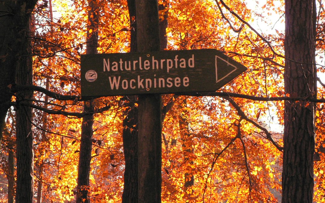 Wycieczka z przewodnikiem wokół jeziora Wocknin, © (c) Kurverwaltung Ückeritz