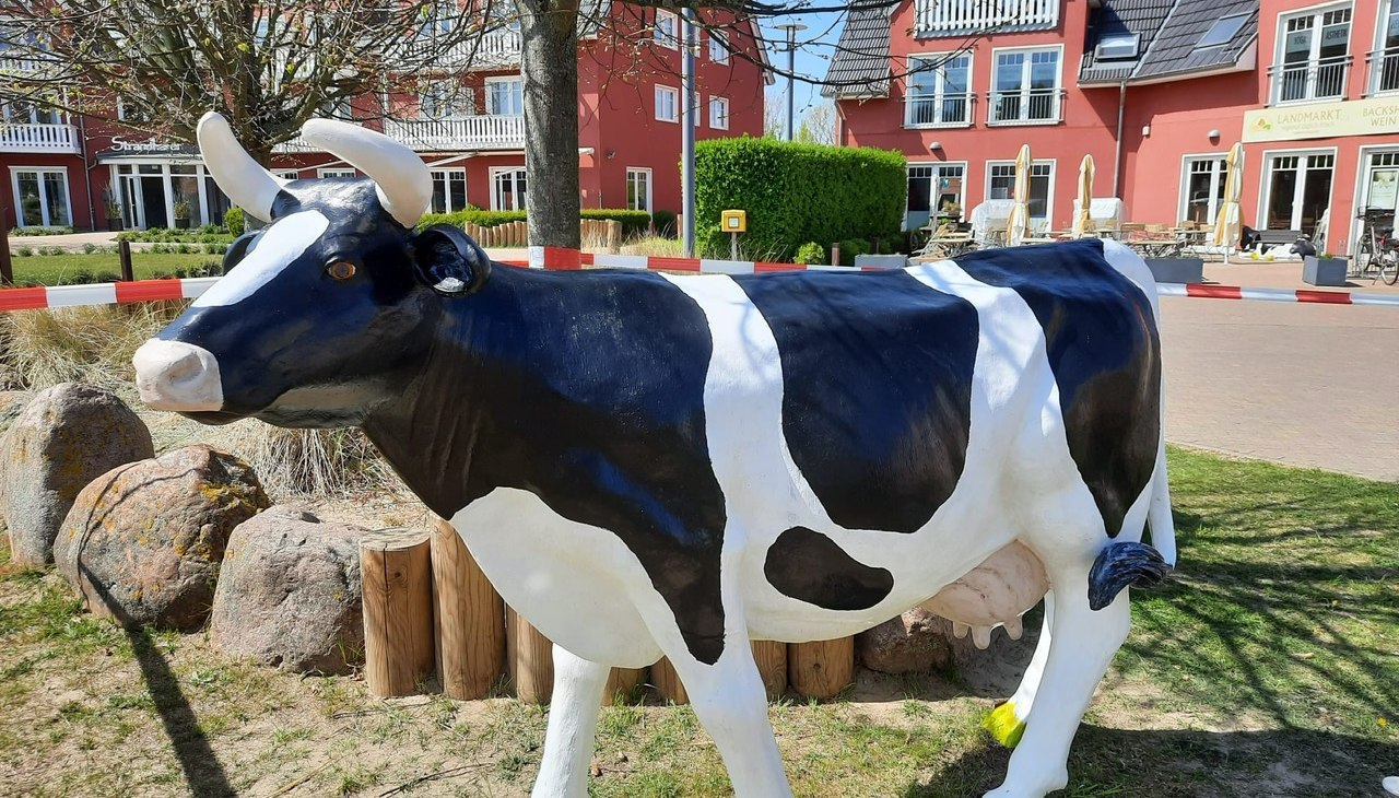 Kuh stehend neu 2022, © Landmarkt615/Sandra Loll Kuh stehend neu 2022, © Landmarkt615/Sandra Loll