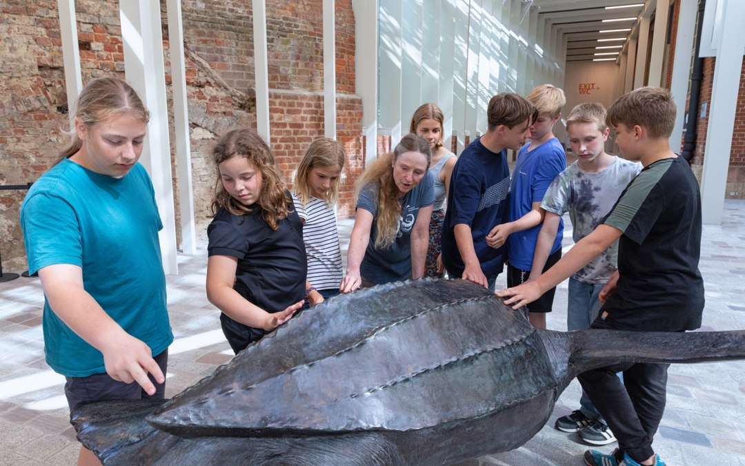 © Anke Neumeister/Deutsches Meeresmuseum
