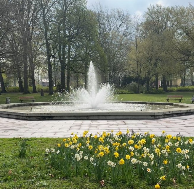 &copy; HANSESTADT Stralsund I Pressestelle