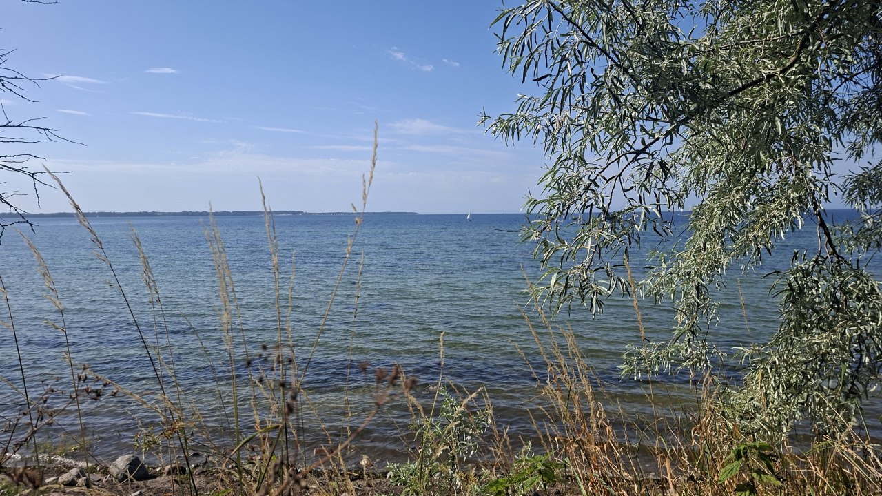 View from the coastal forest out toward the Baltic Sea, Wohlenberger Wiek // &copy; Christine D&ouml;rband / Langdock