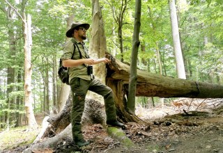 Rangerf&uuml;hrung mit einem Ranger im Naturschutzgebiet Granitz // &copy; Biosph&auml;renreservat S&uuml;dost-R&uuml;gen