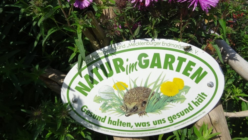 Ogród w posiadłości Alt Guthendorf niedaleko Marlow bierze udział w kampanii ogrodów przyrody "Open Garden Door". // © Renate Topp Ogród w posiadłości Alt Guthendorf niedaleko Marlow bierze udział w kampanii ogrodów przyrody "Open Garden Door". // © Renate Topp