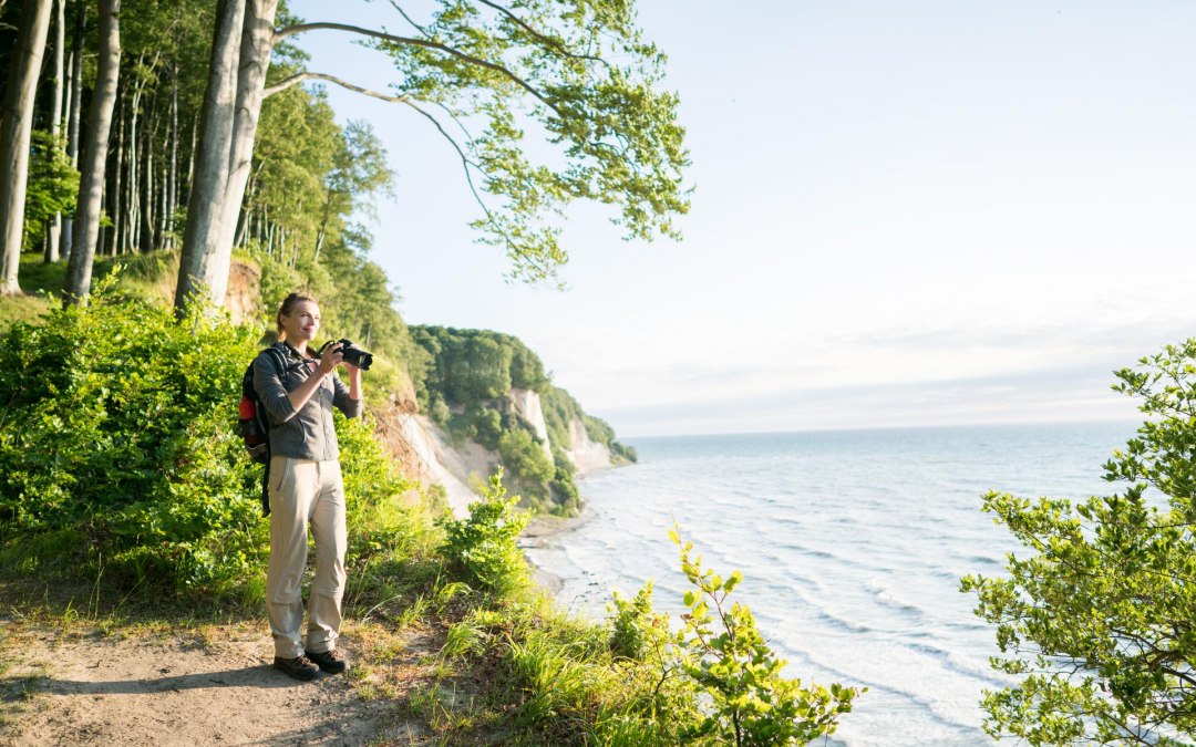 In harmony with nature: a journey of discovery along the high shore trail in the majestic Jasmund National Park, surrounded by the imposing chalk cliffs. // © MV-T/Roth In harmony with nature: a journey of discovery along the high shore trail in the majestic Jasmund National Park, surrounded by the imposing chalk cliffs. // © MV-T/Roth
