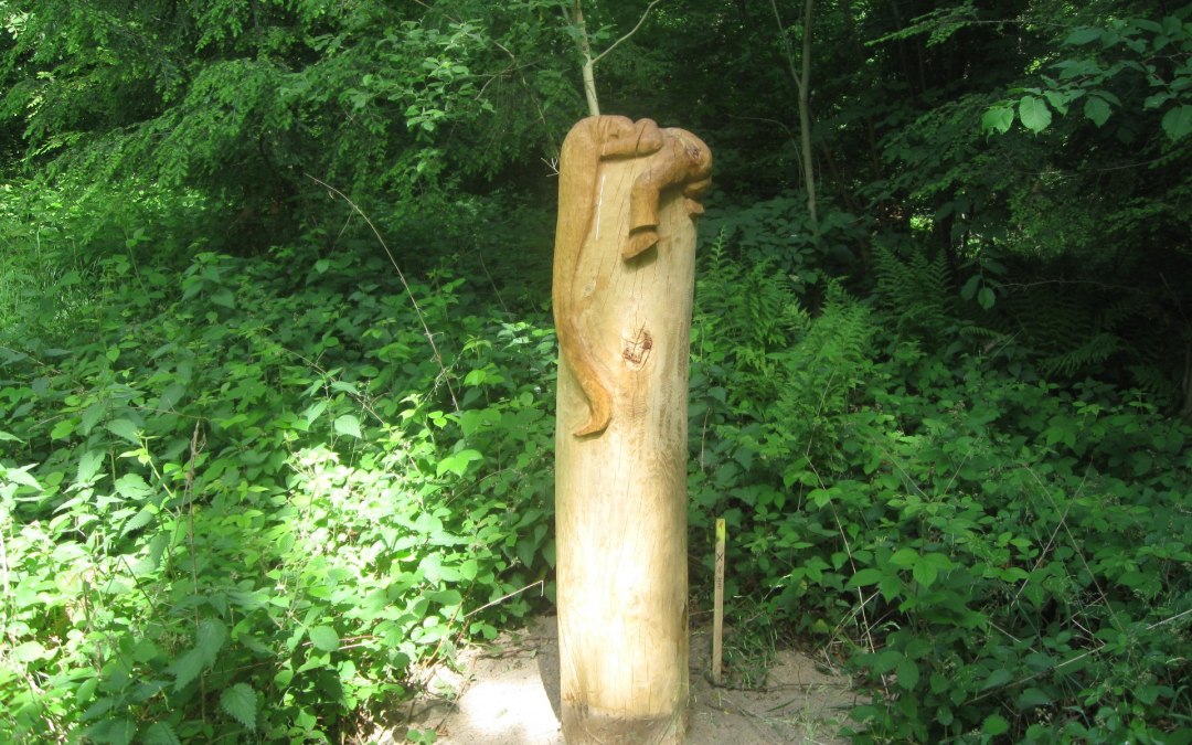 In de tuin van het paradijs, © Landesforst
