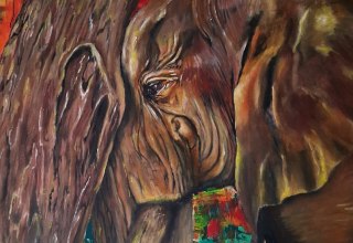 © Diana Teschner © Diana Teschner