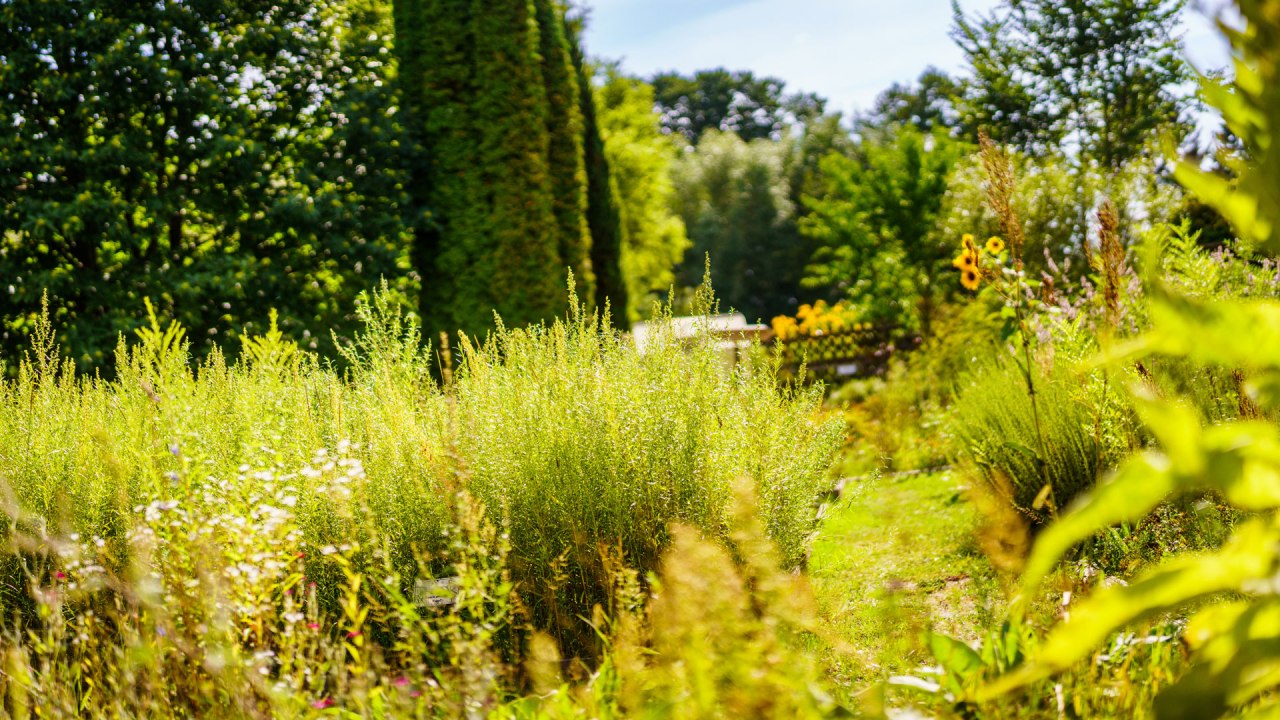 Himmelpfort monastery herb garden, &copy; Andr&eacute; Wirsig
