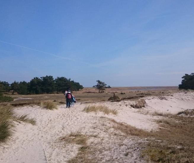 Duinen bij Dar&szlig;er Ort, &copy; TMV/UB