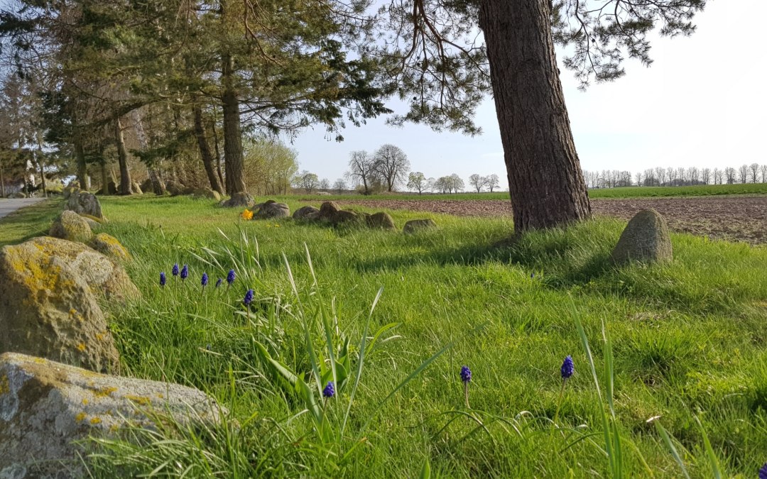 Hunebed Stralendorf, © Tourismusverband Mecklenburg-Schwerin