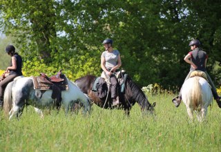 Gezellige rit naar de koolzaadbloesem, © ART.Quartier/Anne Hille