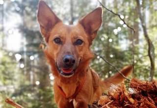 &copy; Erlebnis Akademie AG/NEZR