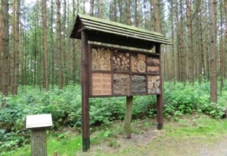 Insektenhotel im Wald der Sinne // © Baltzer Insektenhotel im Wald der Sinne // © Baltzer
