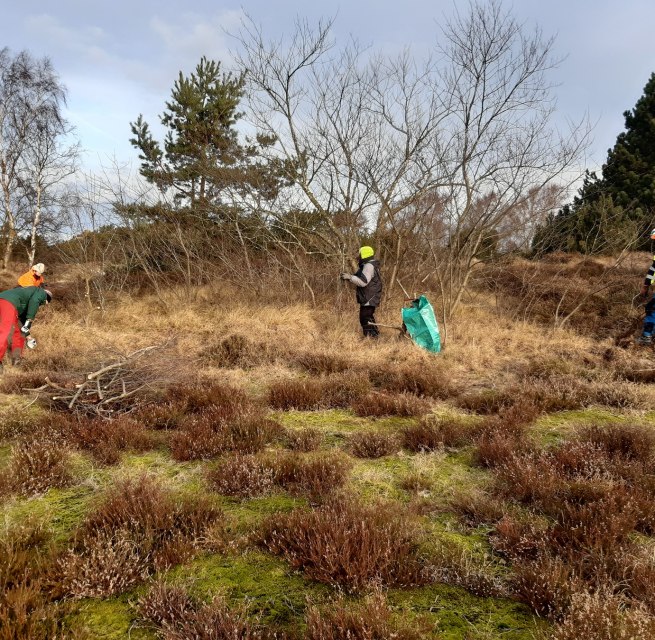 &copy; Nationalparkamt Vorpommern