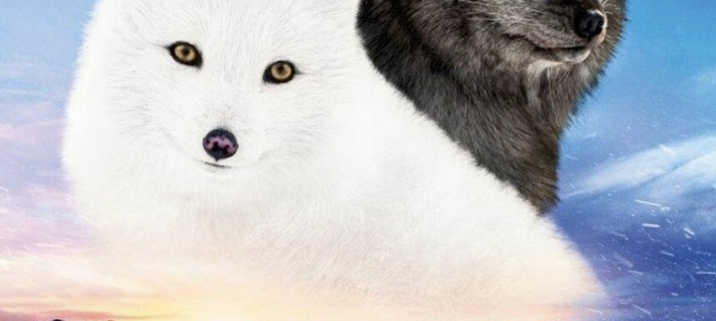 © Basiskulturfabrik GmbH © Basiskulturfabrik GmbH