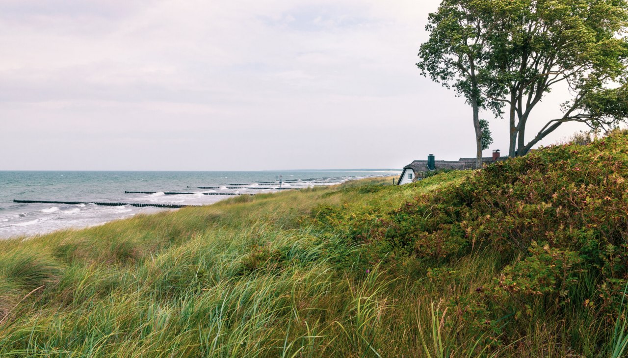 Pure idylle in de duinen van Ahrenshoop, © TMV/Süß Pure idylle in de duinen van Ahrenshoop, © TMV/Süß