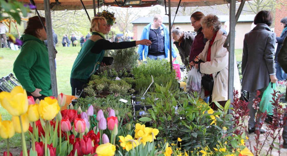 980x553 IMG_4208_kleiner_kleiner_SGMV, © SGMV 980x553 IMG_4208_kleiner_kleiner_SGMV, © SGMV