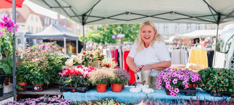 © Bernsteinstadt Ribnitz-Damagrten