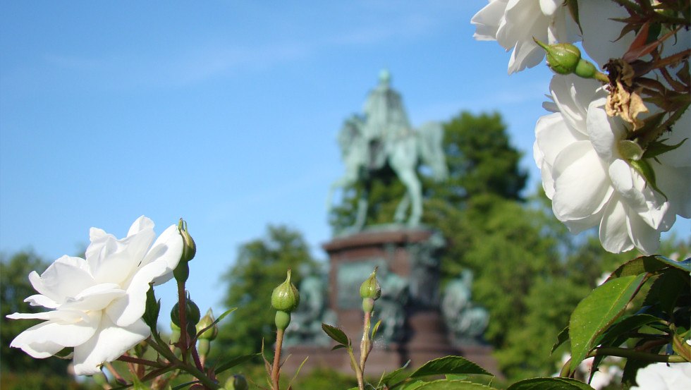 Het ruiterstandbeeld in de kasteeltuin omringd door rozen, © Tourismusverband Mecklenburg-Schwerin