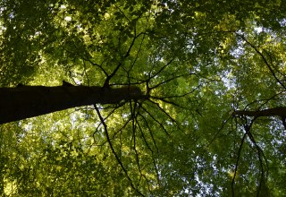 &copy; Kurverwaltung Feldberg