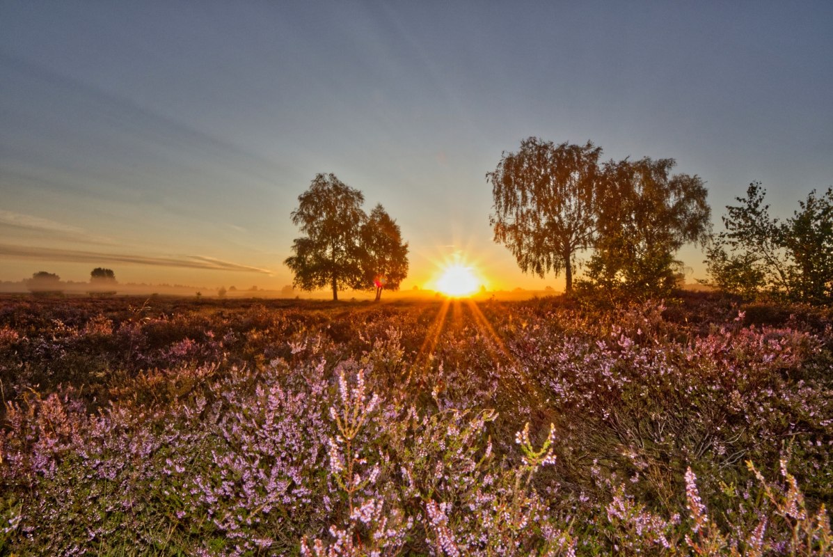 © Uwe Meyer © Uwe Meyer