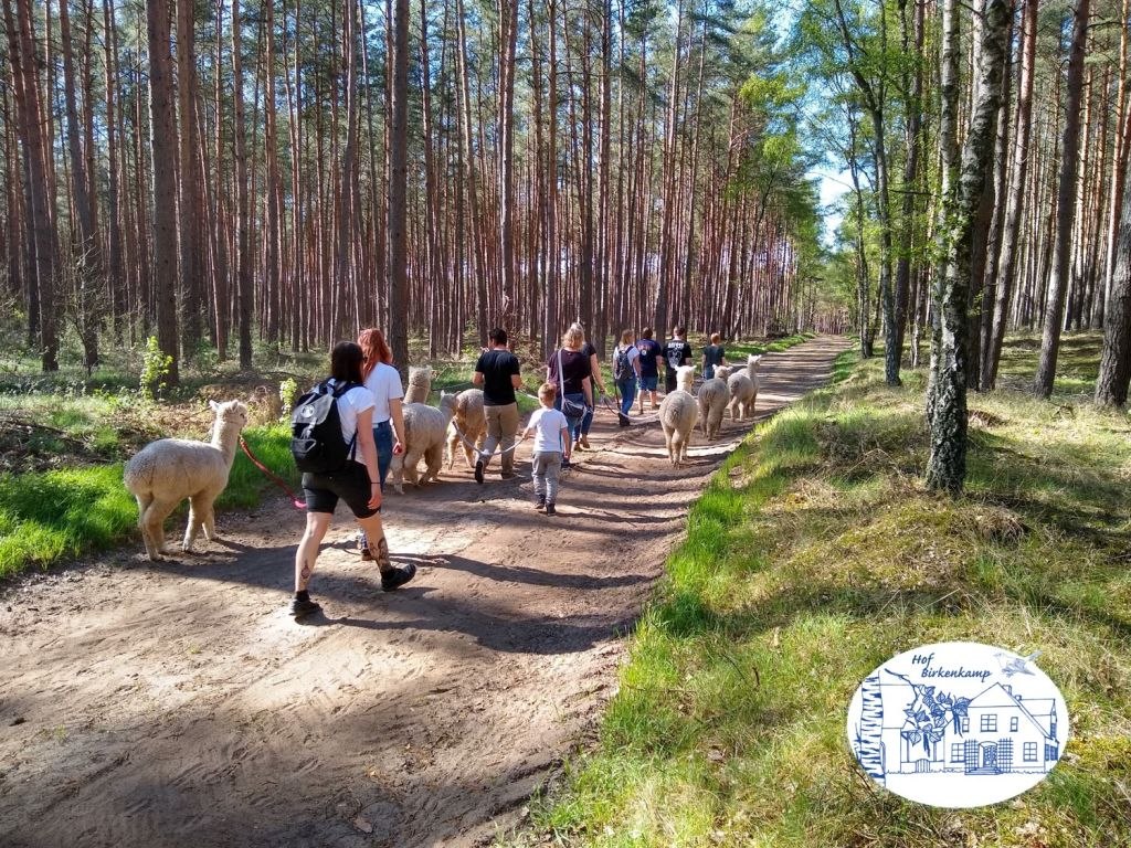 &copy; Jennifer Dietel