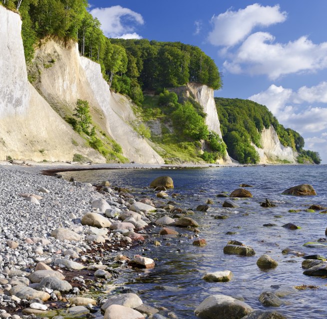 Round stones line the beach, gentle waves wash around moss-covered boulders. The white chalk cliffs of the Jasmund National Park rise majestically above the Baltic Sea, crowned by lush green beech trees. A place where silence can be heard and the power of nature can be felt. // &copy; Francesco Carovillano