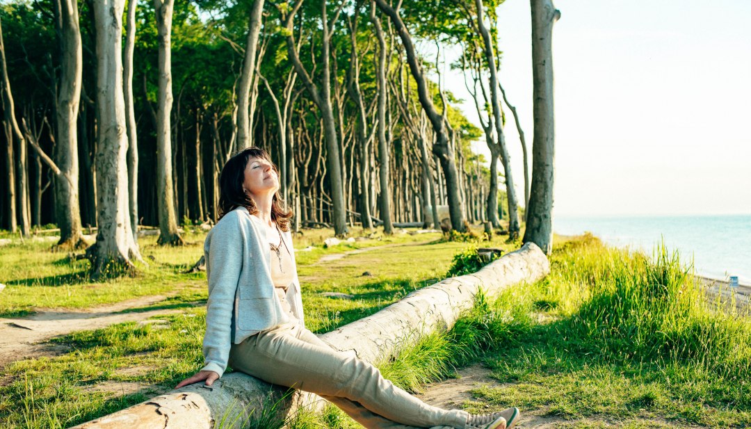 Forest bathing in the ghost forest - a woman sits in the sun on a fallen tree trunk with a view of the Baltic Sea