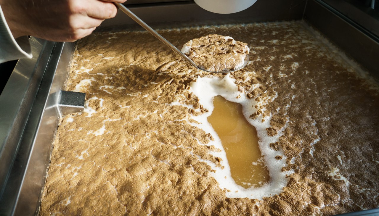 Met de verscheidenheid aan zelfgebrouwen bierspecialiteiten is er voor elk wat wils., © Darßer BRAUHAUS