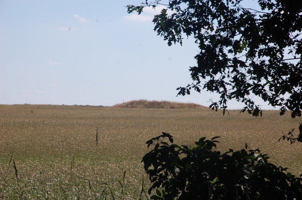 The tumulus in the cornfield is visible from far away. // &copy; Gabriele Skorupski