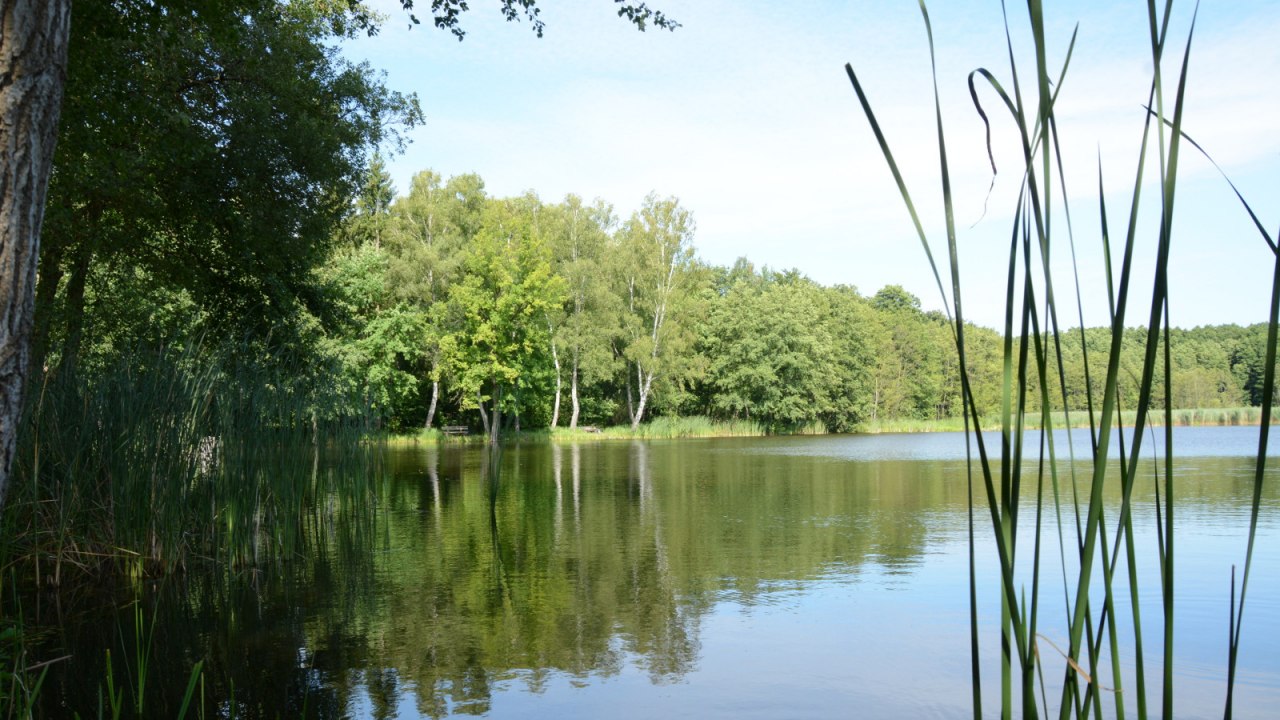 Karpervijvers in de buurt van Voigtsdorf, © Tourismusverband Mecklenburg-Schwerin Karpervijvers in de buurt van Voigtsdorf, © Tourismusverband Mecklenburg-Schwerin