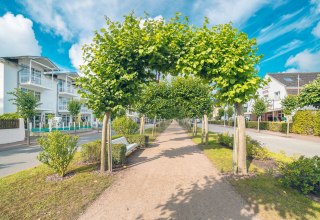 © Kurverwaltung Ostseebad Baabe