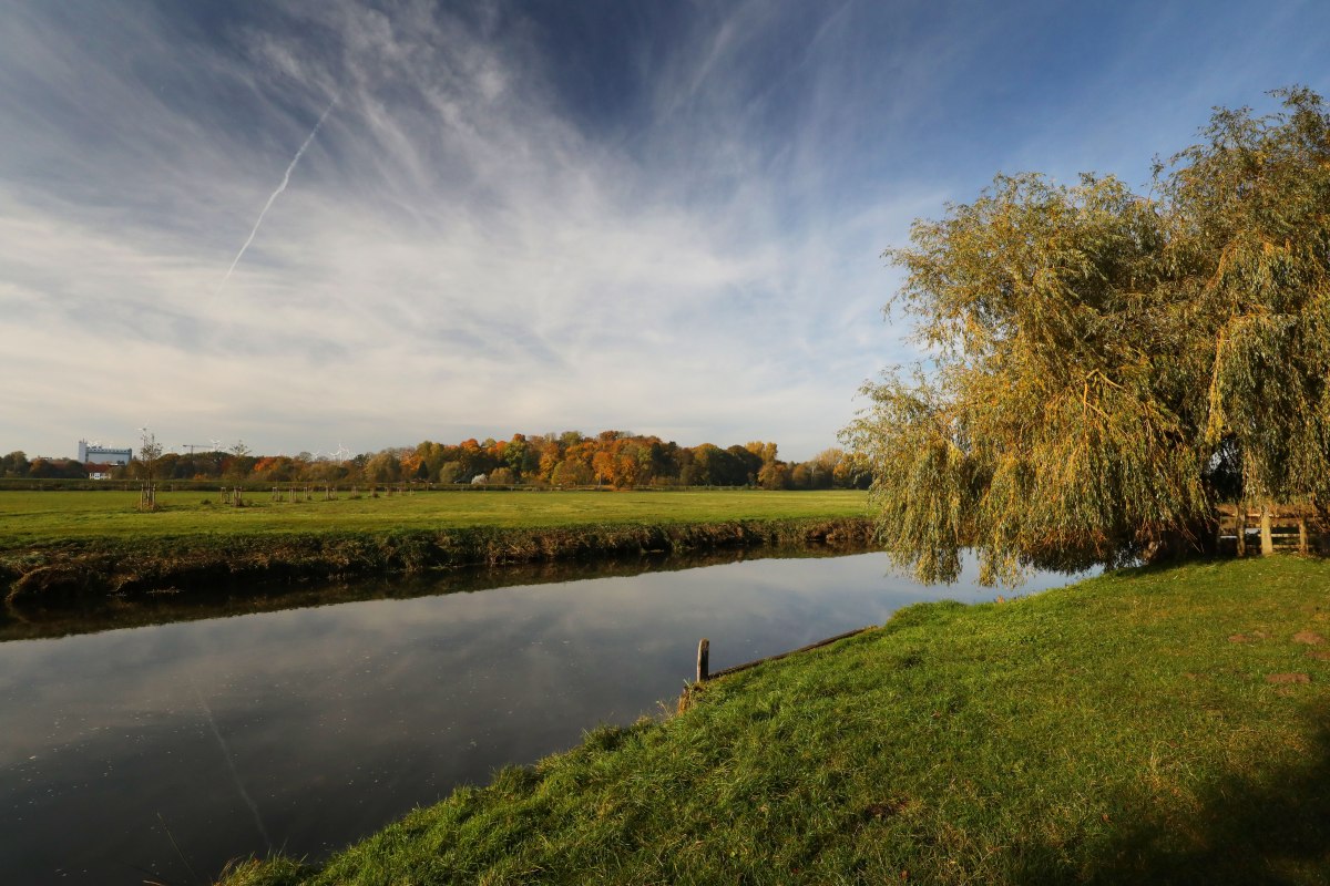 © TMV/Gohlke © TMV/Gohlke