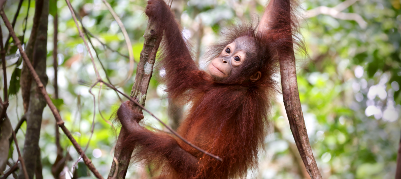 © Deutsche Naturfilmstiftung © Deutsche Naturfilmstiftung