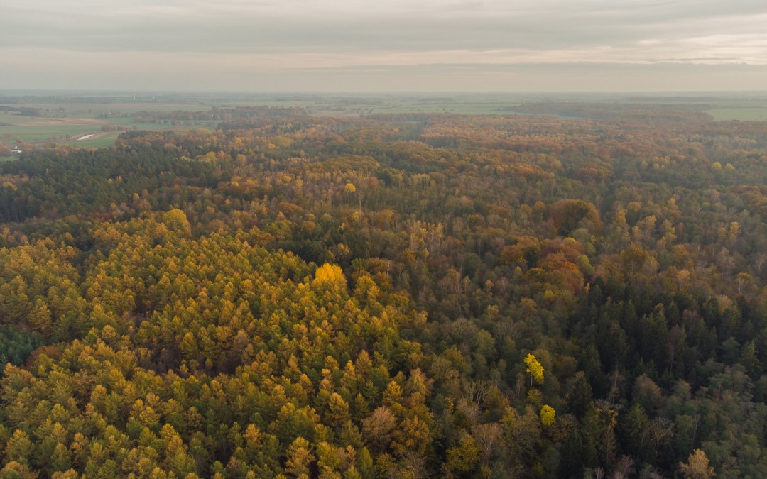 DJI_0716, © Arndt Gläser