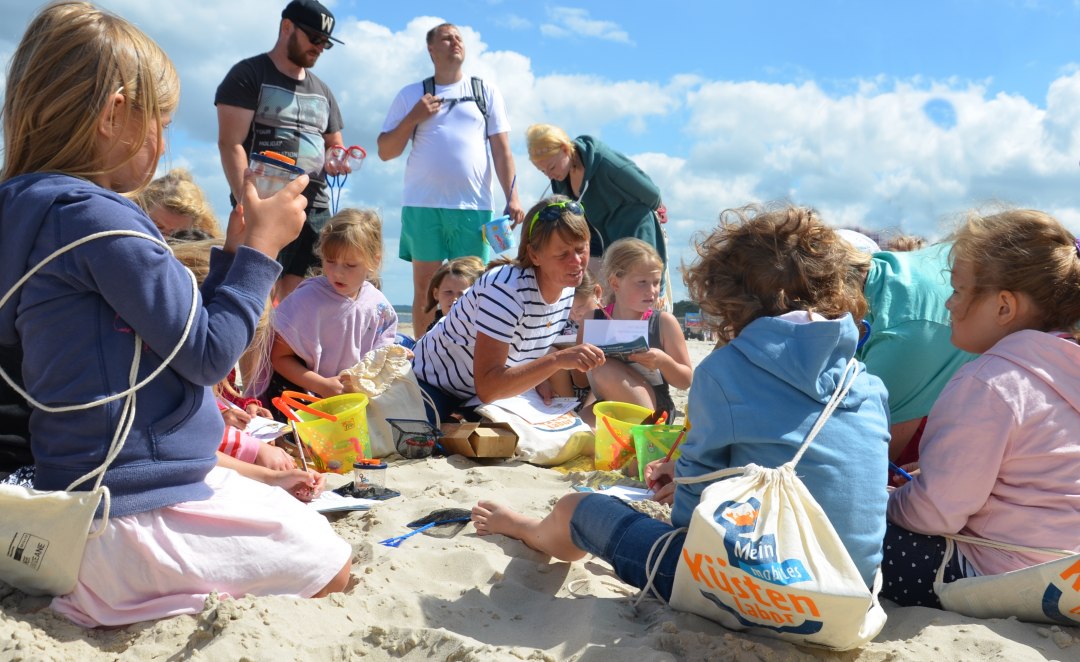 © Strandforscher (3).JPG