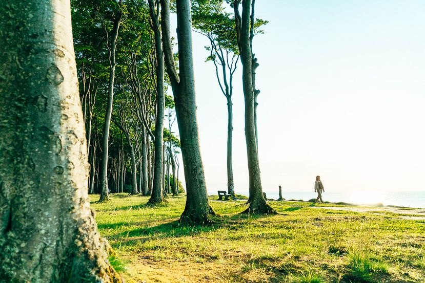 Gezond worden in gezondheidsland // &copy; MV-T/H2F