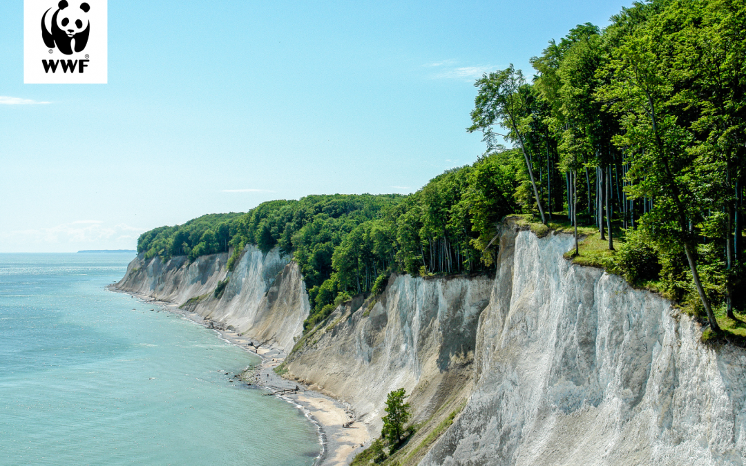 WWF-tour, © Nationalpark-Zentrum Königsstuhl