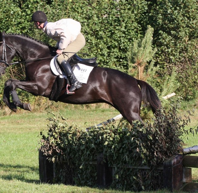Erlk&ouml;nig im Gel&auml;nde // &copy; Trakehnerhof Valluhn