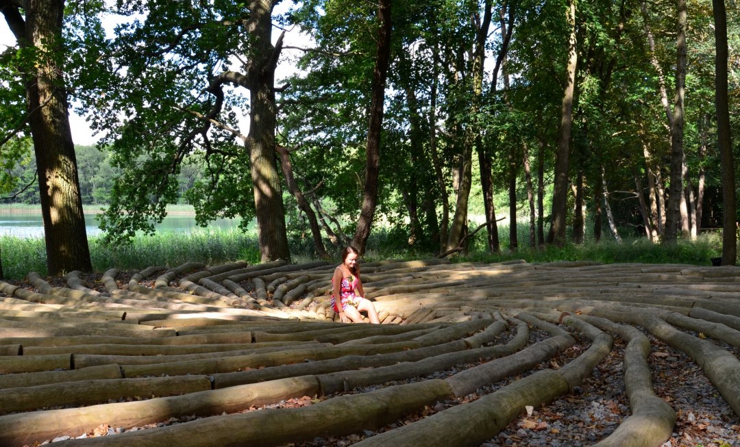 The tree trunk swirl invites you to find your own way to the center, © Kurverwaltung Feldberger Seenlandschaft