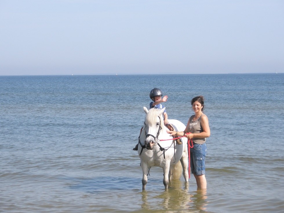 Beach rides for all those who are not yet firmly in the saddle // &copy; Pferdesport Brauns